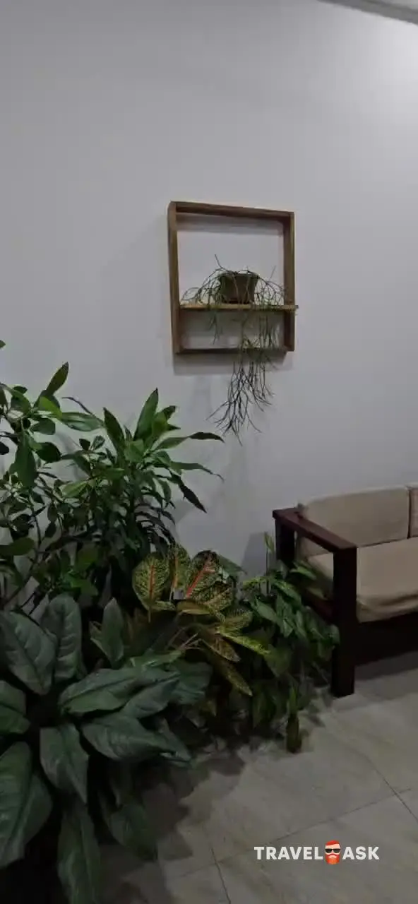 video__preview