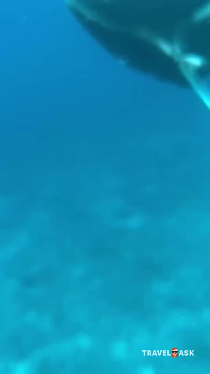 video__preview