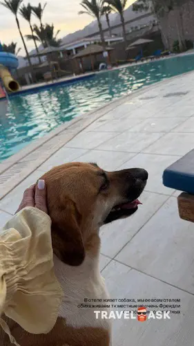 Ecotel Dahab Resort (Ex. Sol Dahab Resort)