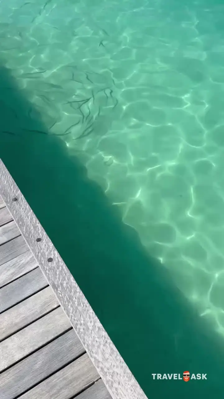 Barcelo Whale Lagoon Maldives