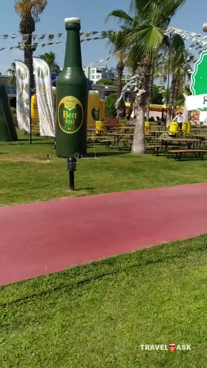 video__preview