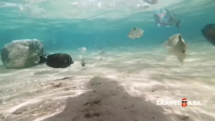 Monte Carlo Sharm El Sheikh Resort (Ex. The Ritz Carlton Sharm El Sheikh)