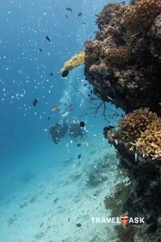 Taj Coral Reef Resort & Spa
