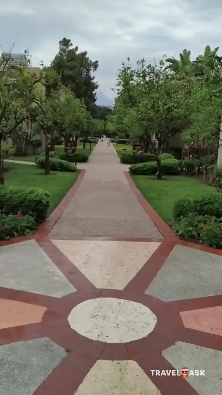 video__preview