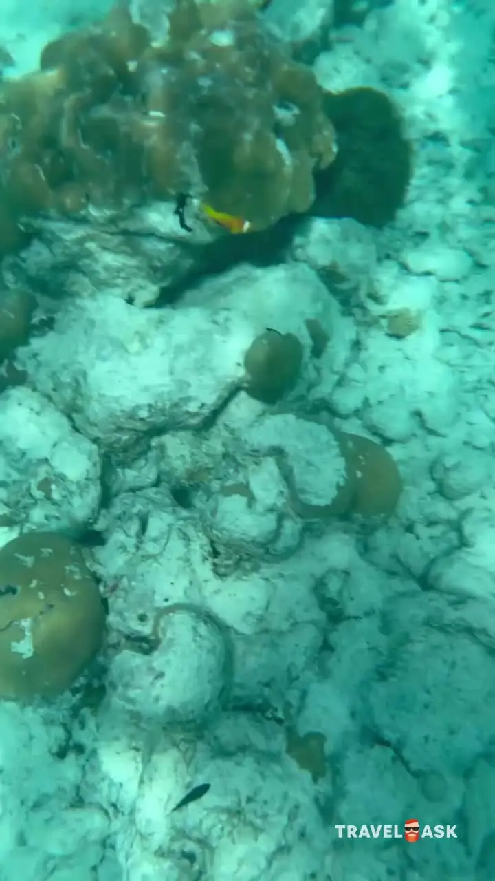 Kuramathi Maldives (Ex. Kuramathi Island Resort)