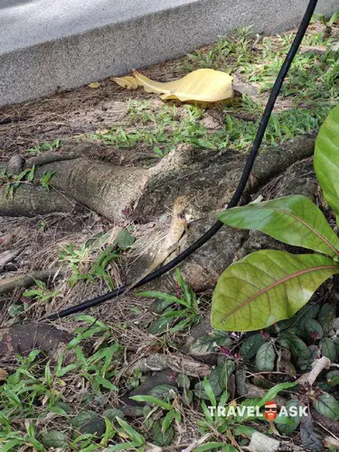 Outrigger Khao Lak Beach Resort