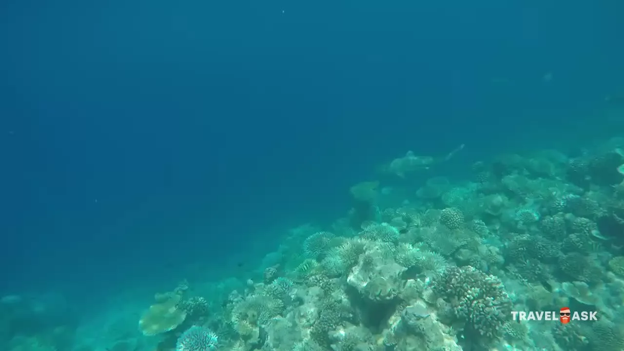 video__preview