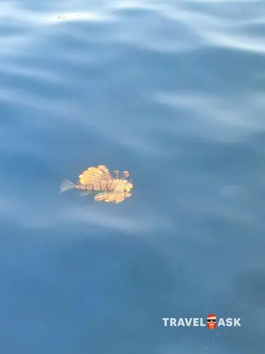 Safir Sharm Waterfalls Resort (Ex. Hilton Sharm Waterfalls Resort)