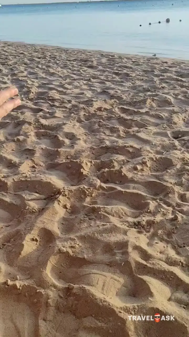 video__preview