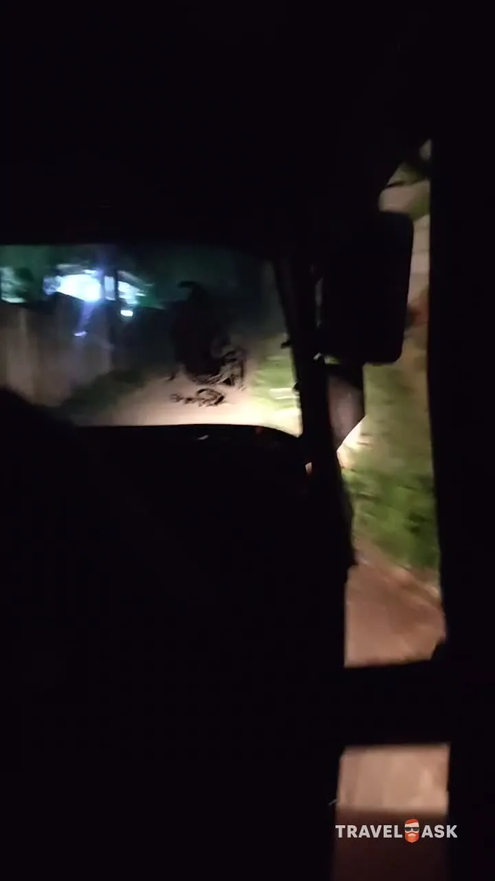 video__preview