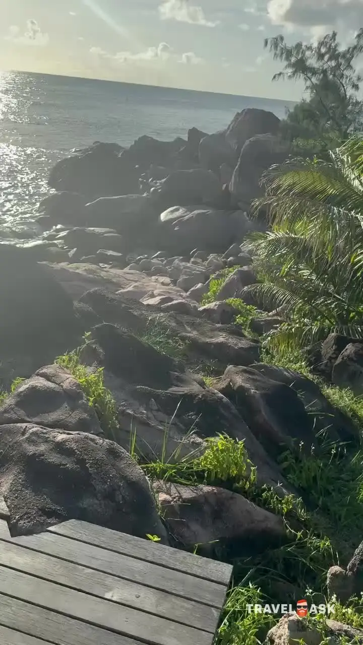 video__preview