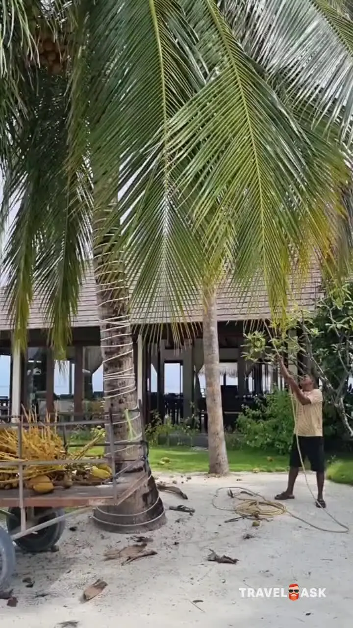 video__preview