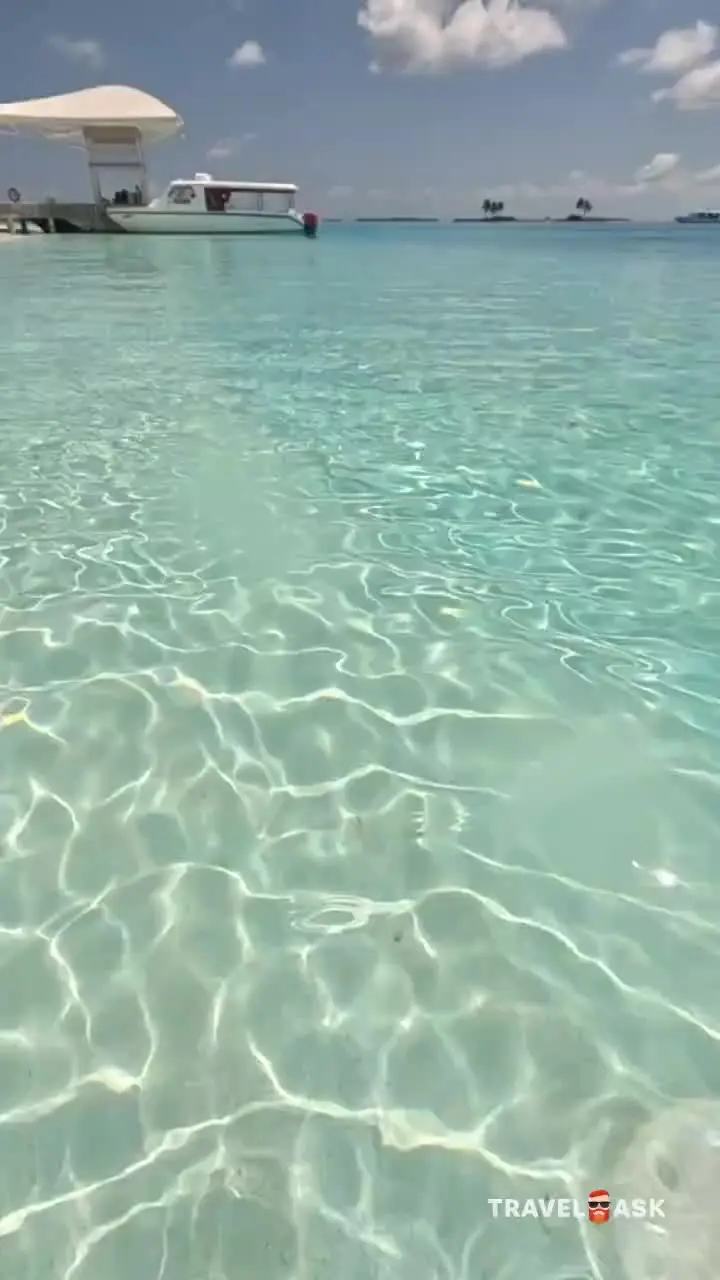 video__preview
