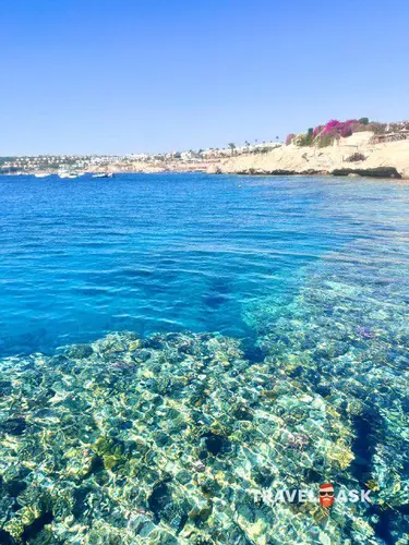 Siva Sharm (Ex. Savita Resort)