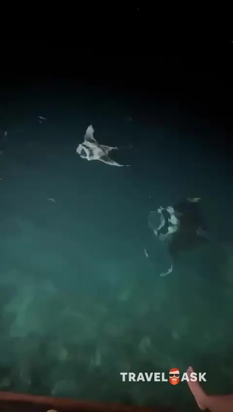 video__preview