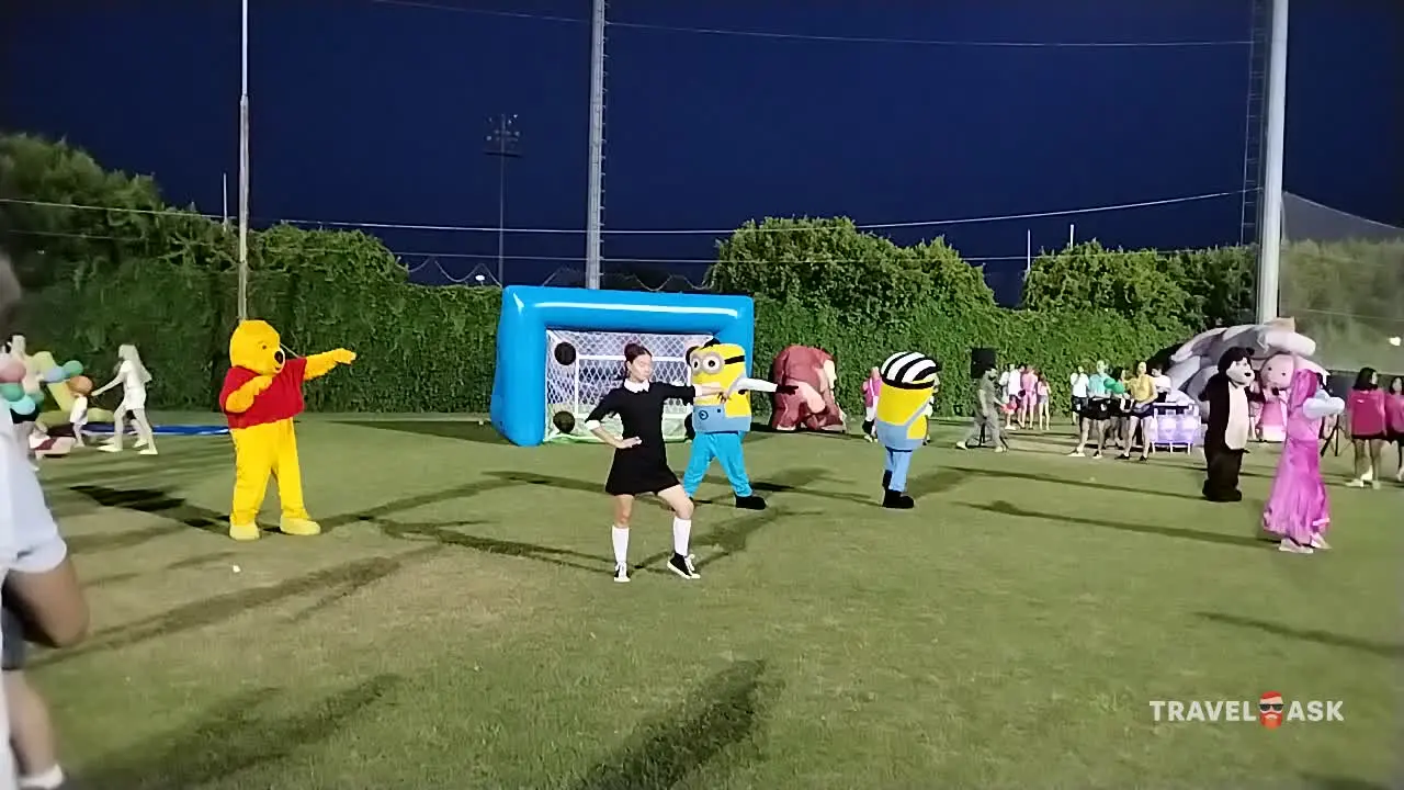 video__preview