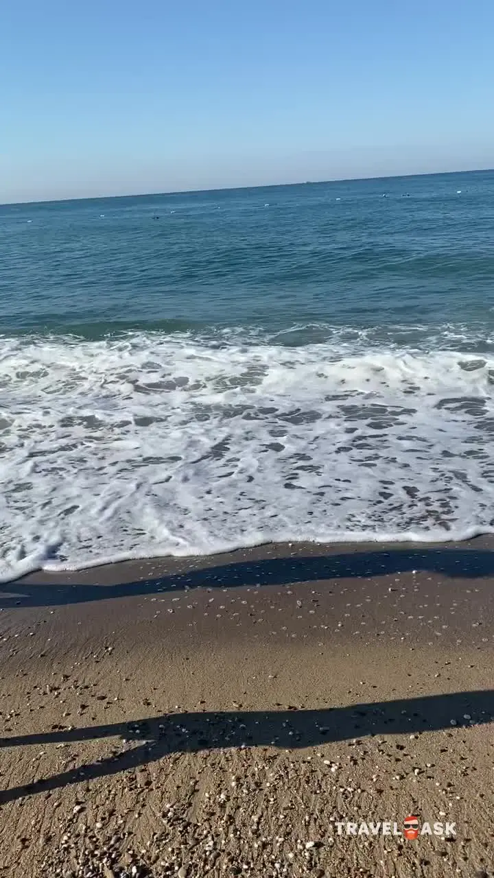video__preview