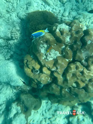 Kuramathi Maldives (Ex. Kuramathi Island Resort)