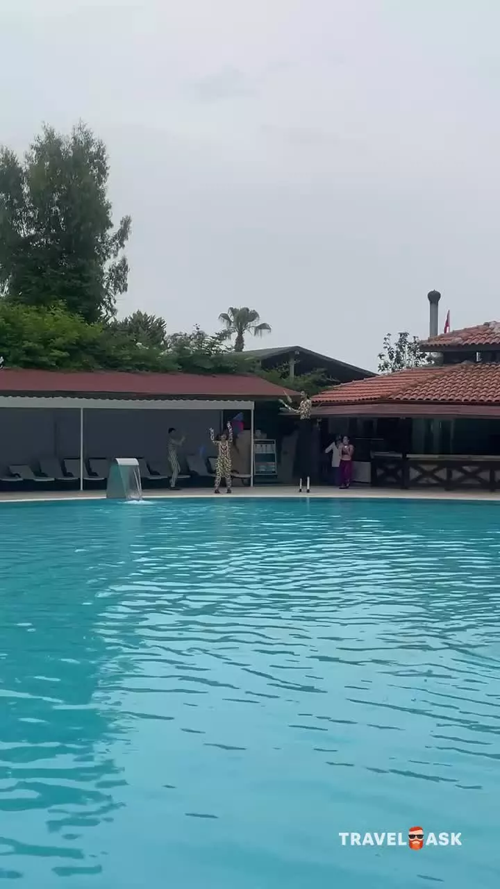 video__preview