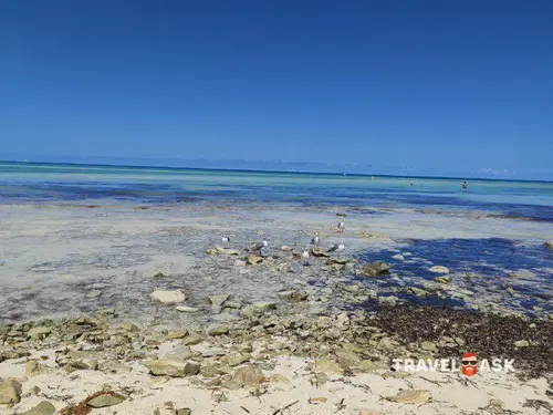 Melia Jardines Del Rey