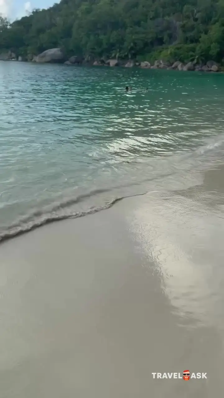 video__preview