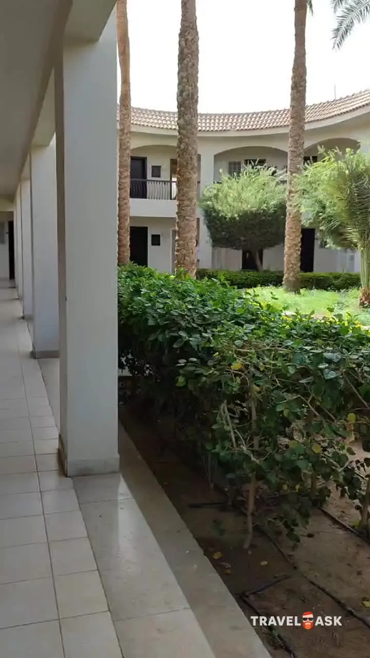 video__preview
