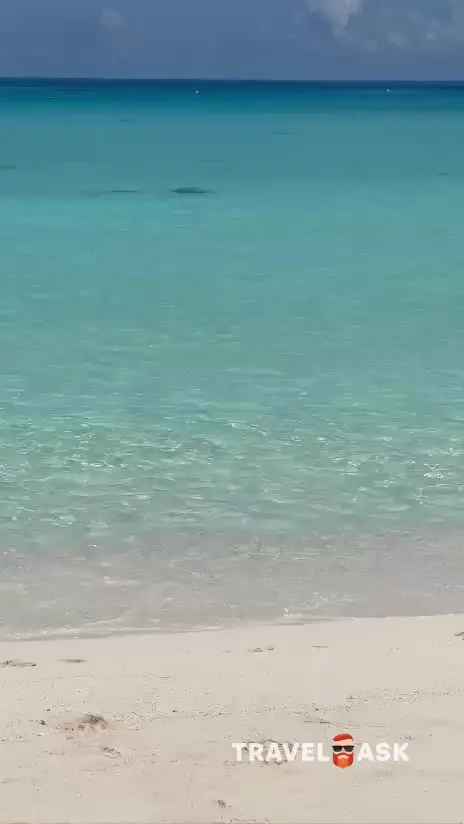 video__preview