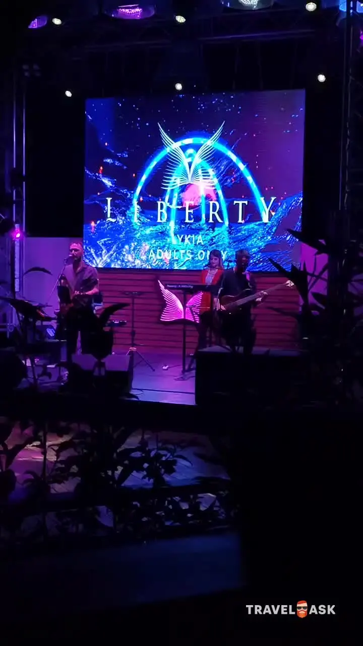video__preview