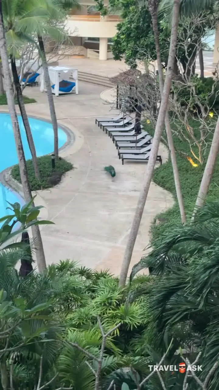Pullman Phuket Arcadia Karon Beach Resort (Ex.Hilton Phuket Arcadia Resort & Spa)