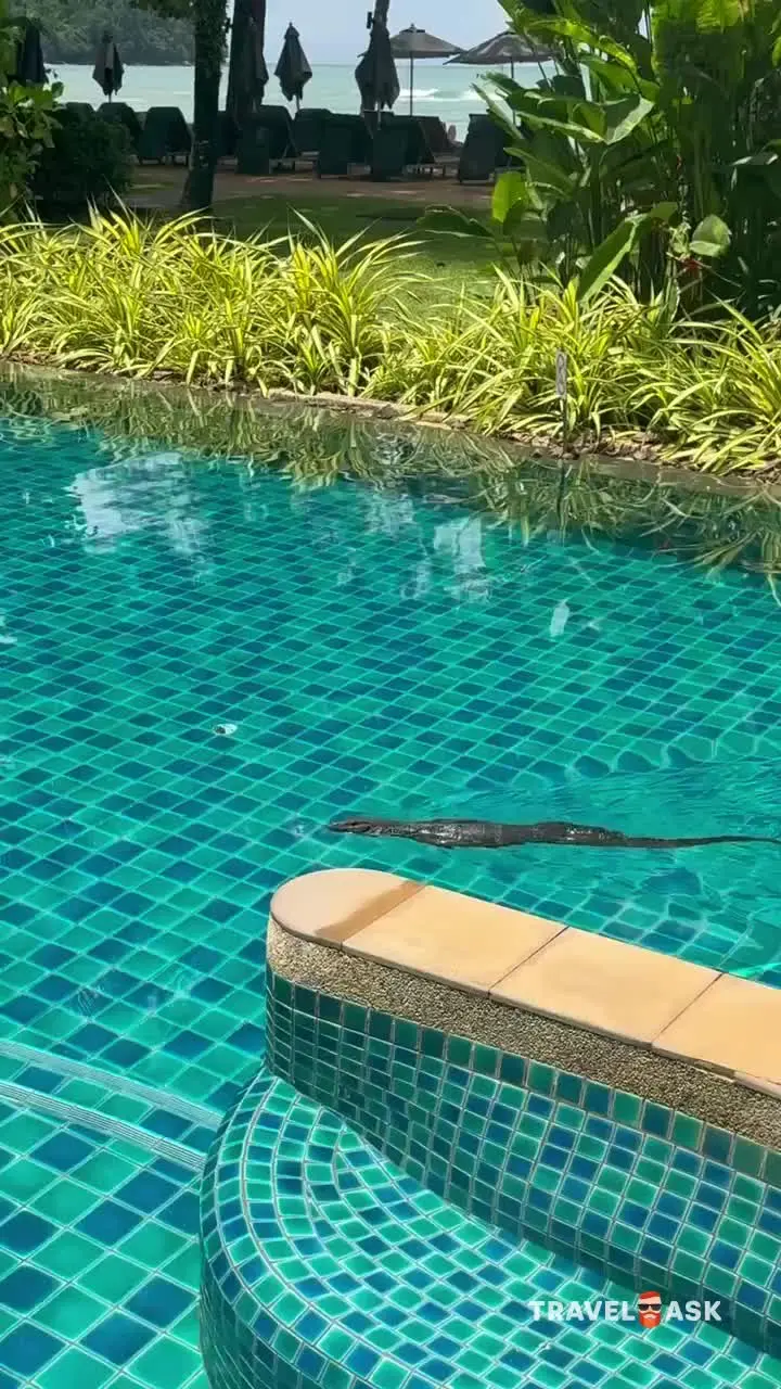 Moracea By Khao Lak Resort