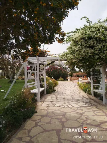 Romance Regency Club (Adults Only 18+)