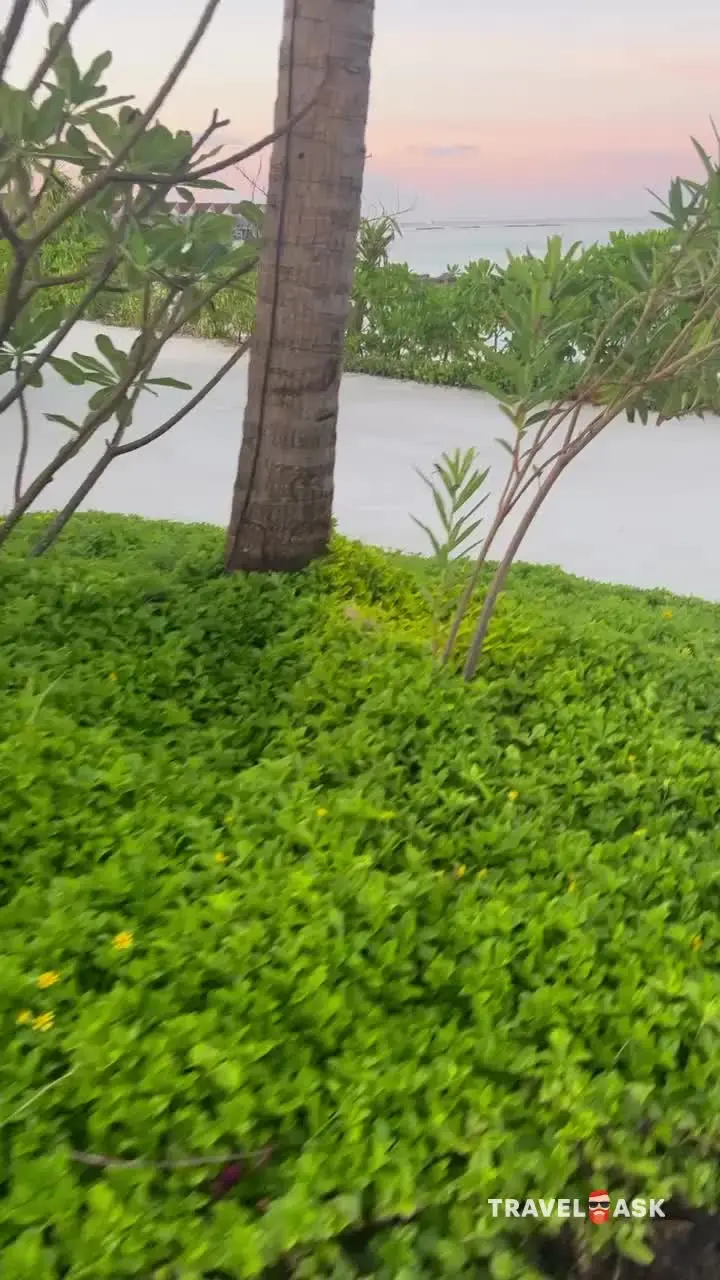 video__preview