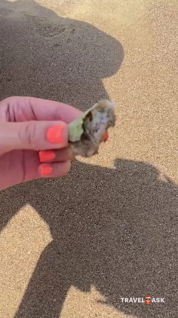 Le Meridien Al Aqah Beach Resort