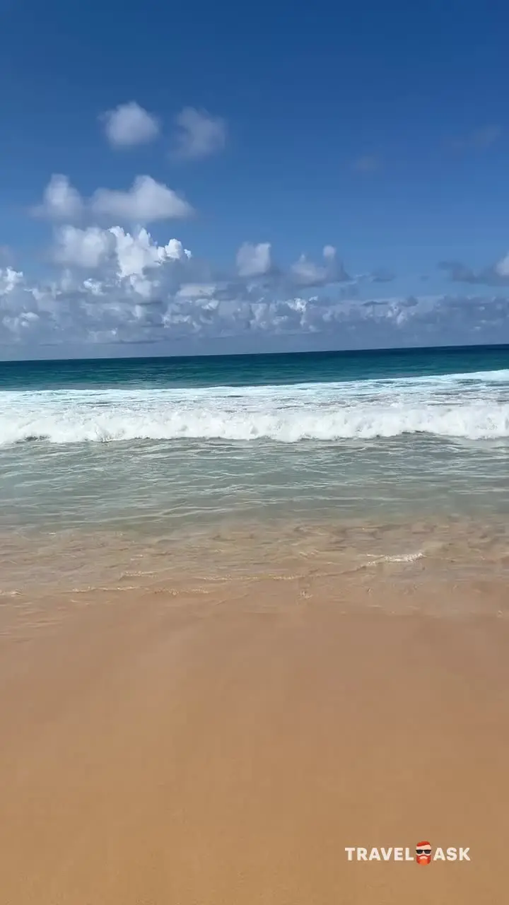 video__preview