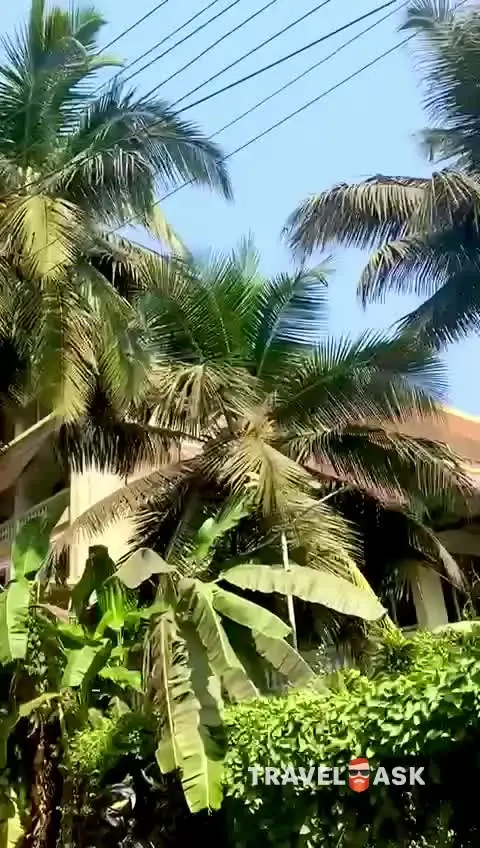 video__preview
