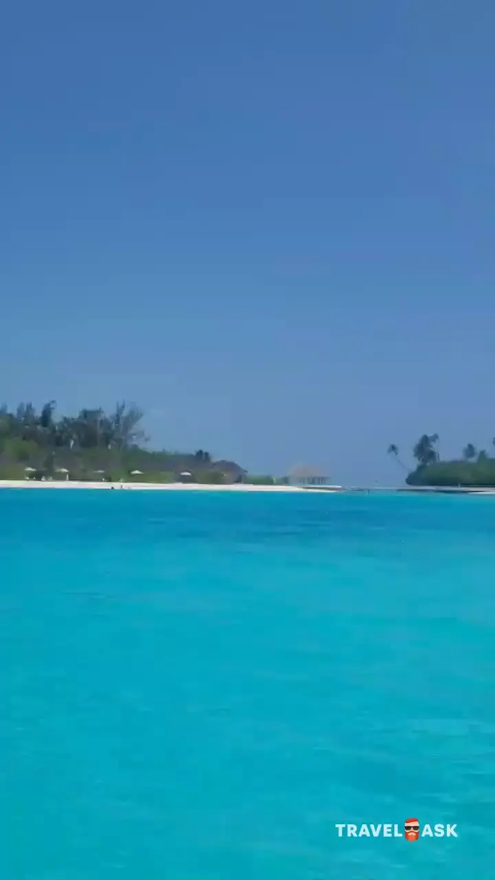 video__preview