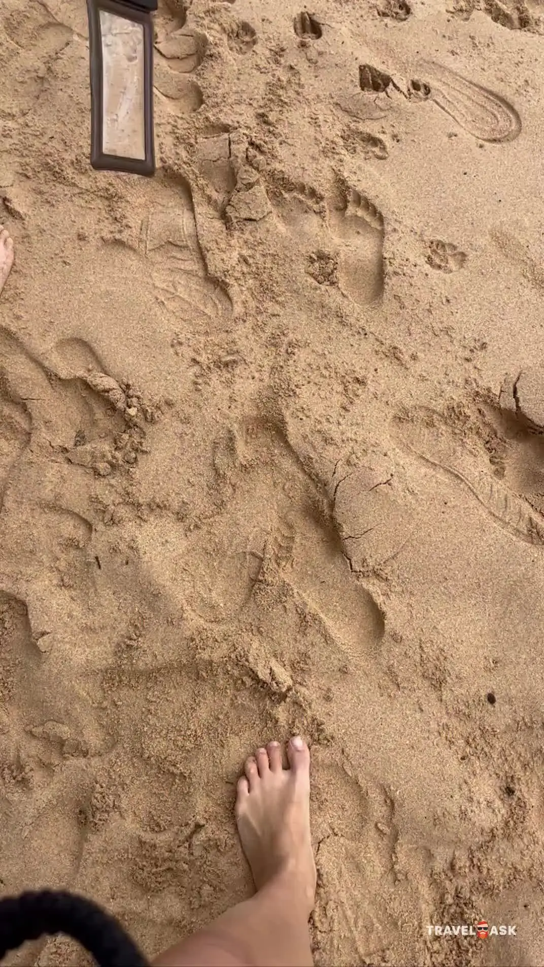 video__preview