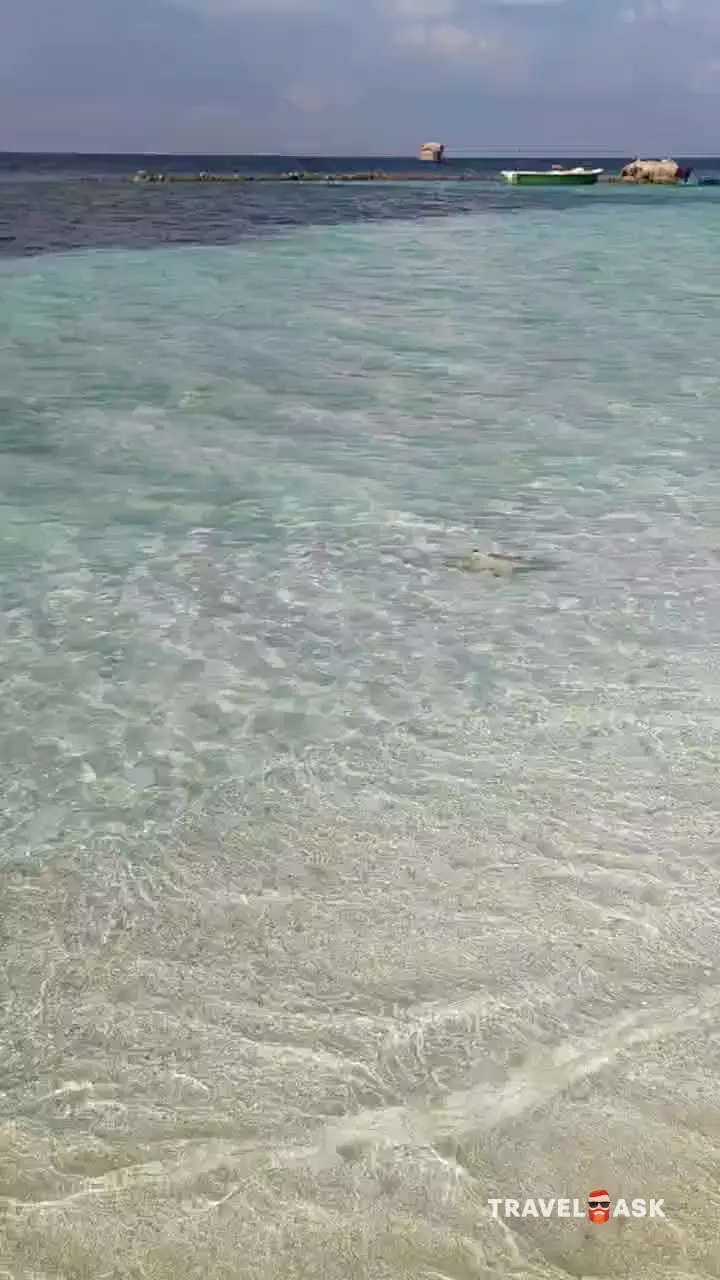 video__preview