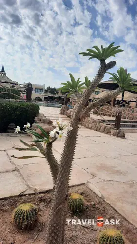 Faraana Reef Resort