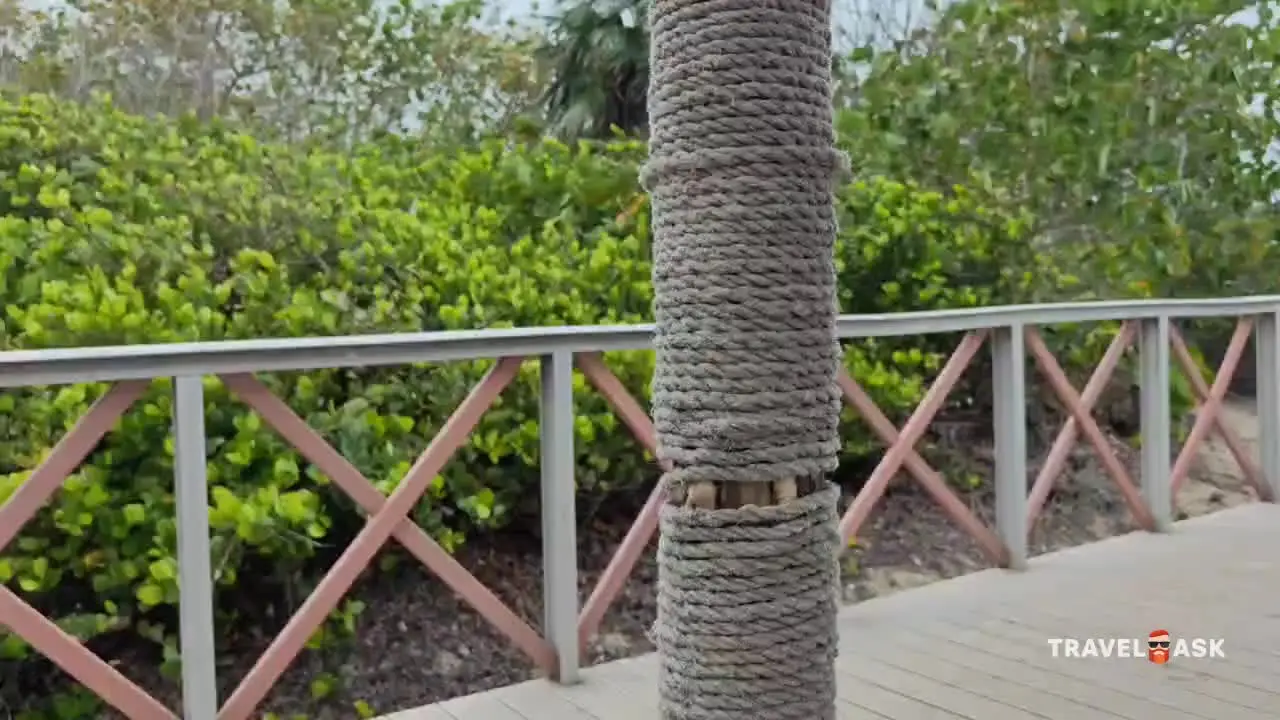 video__preview