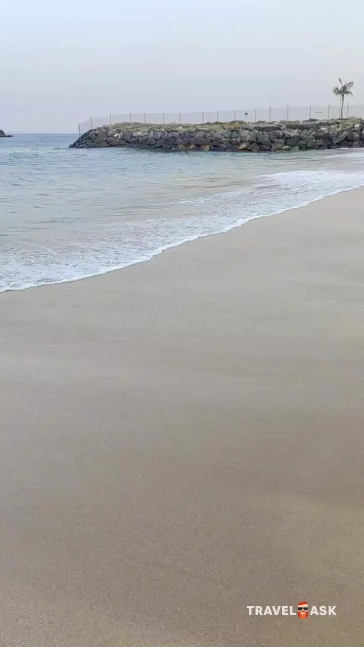 video__preview