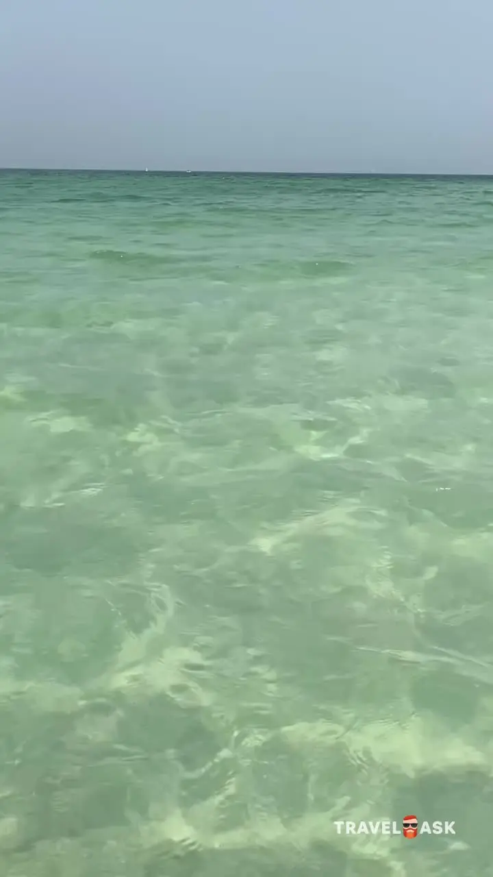 video__preview