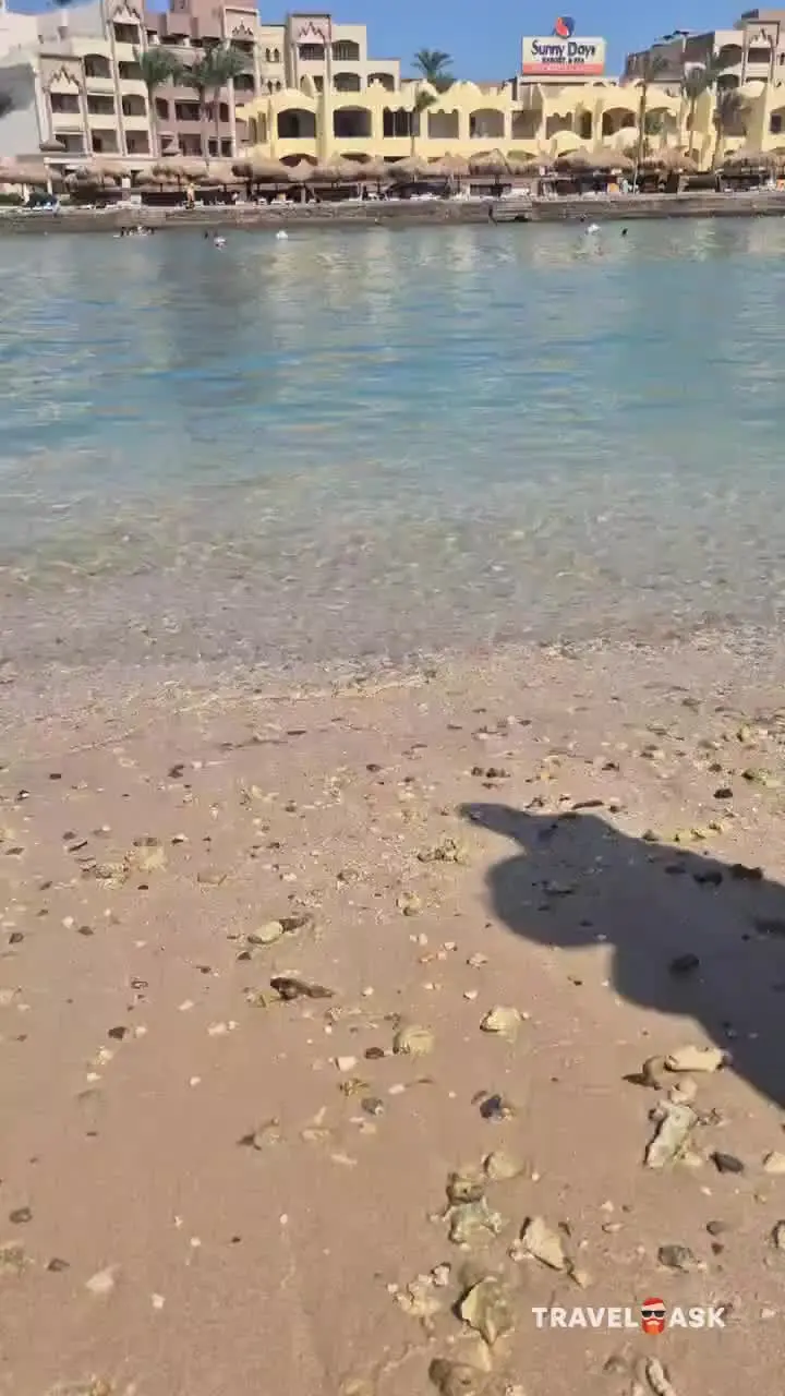 Sunny Days Palma De Mirette