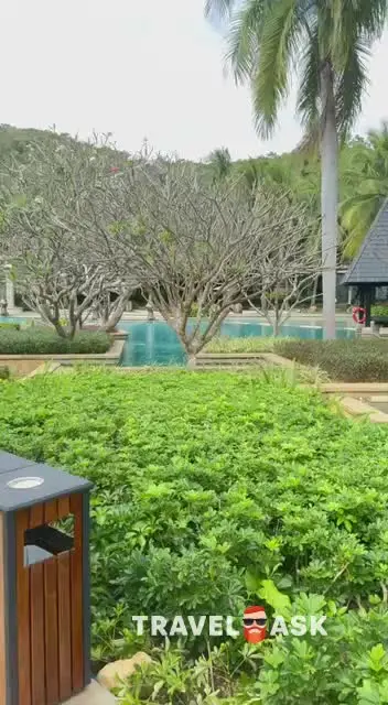 video__preview