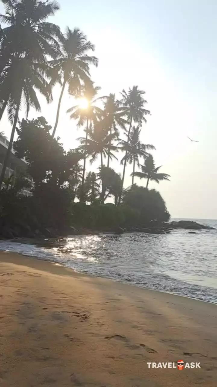 video__preview