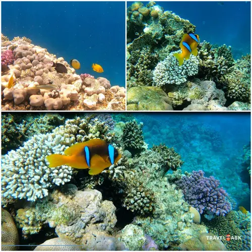 Reef Oasis Beach Resort