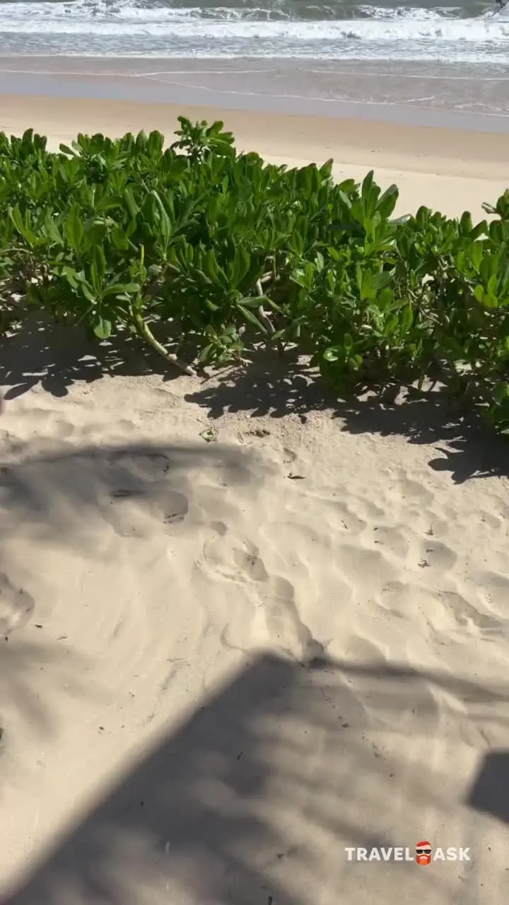 video__preview