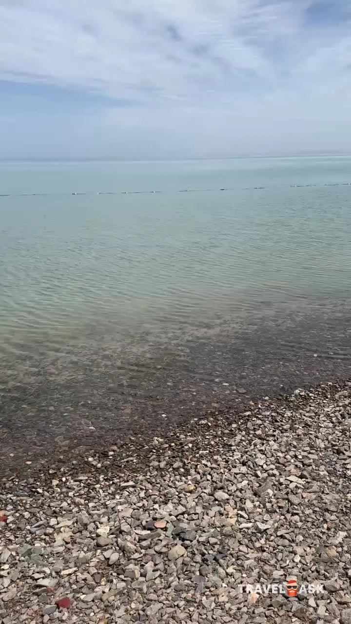 video__preview