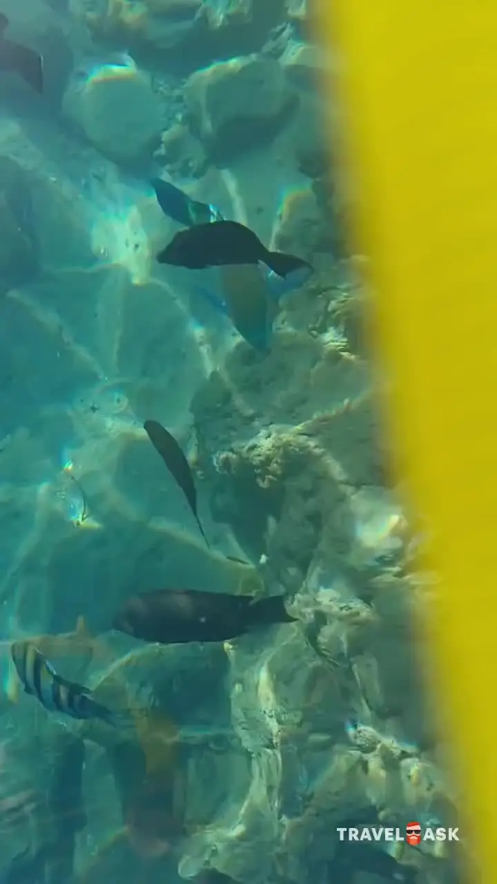 Naama Bay (Ex. Tropitel Naama Bay Hotel)