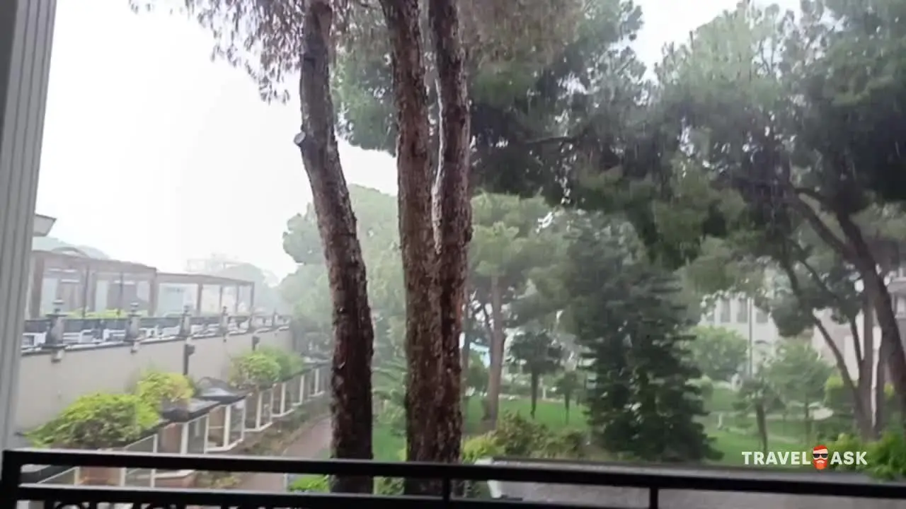 video__preview